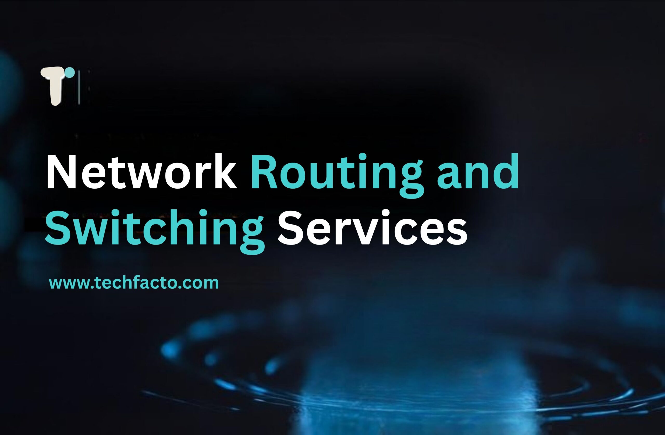 Network Routing and Switching Service Provider